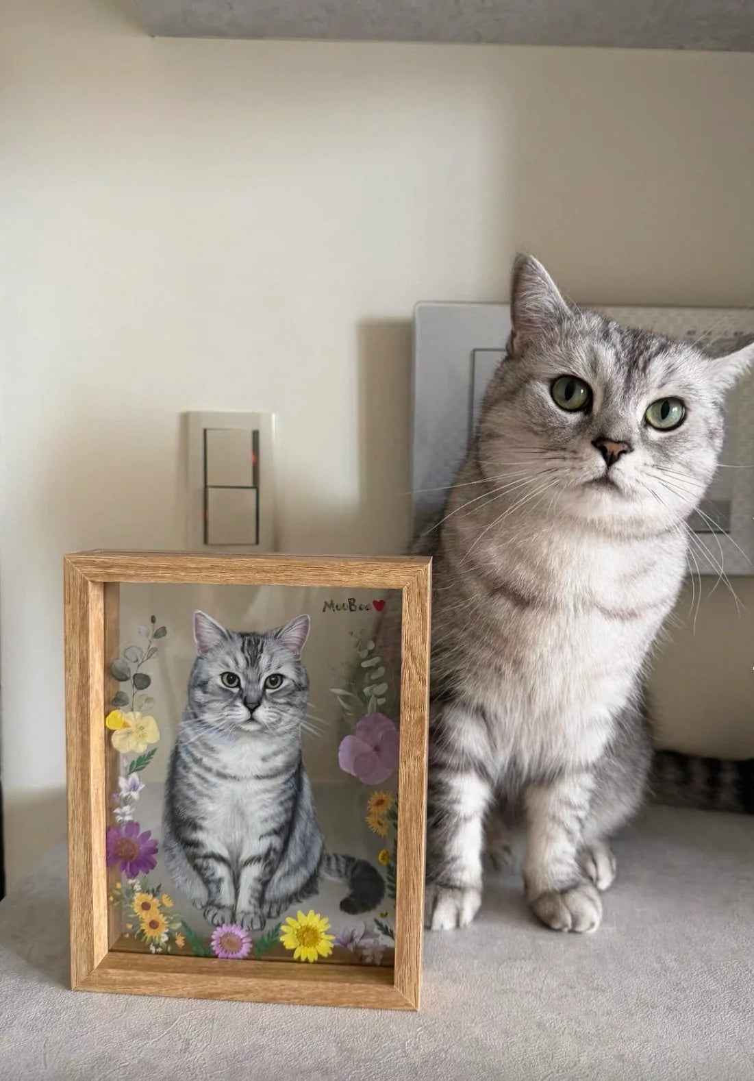 A silver tabby sits beside its floral glass portrait.