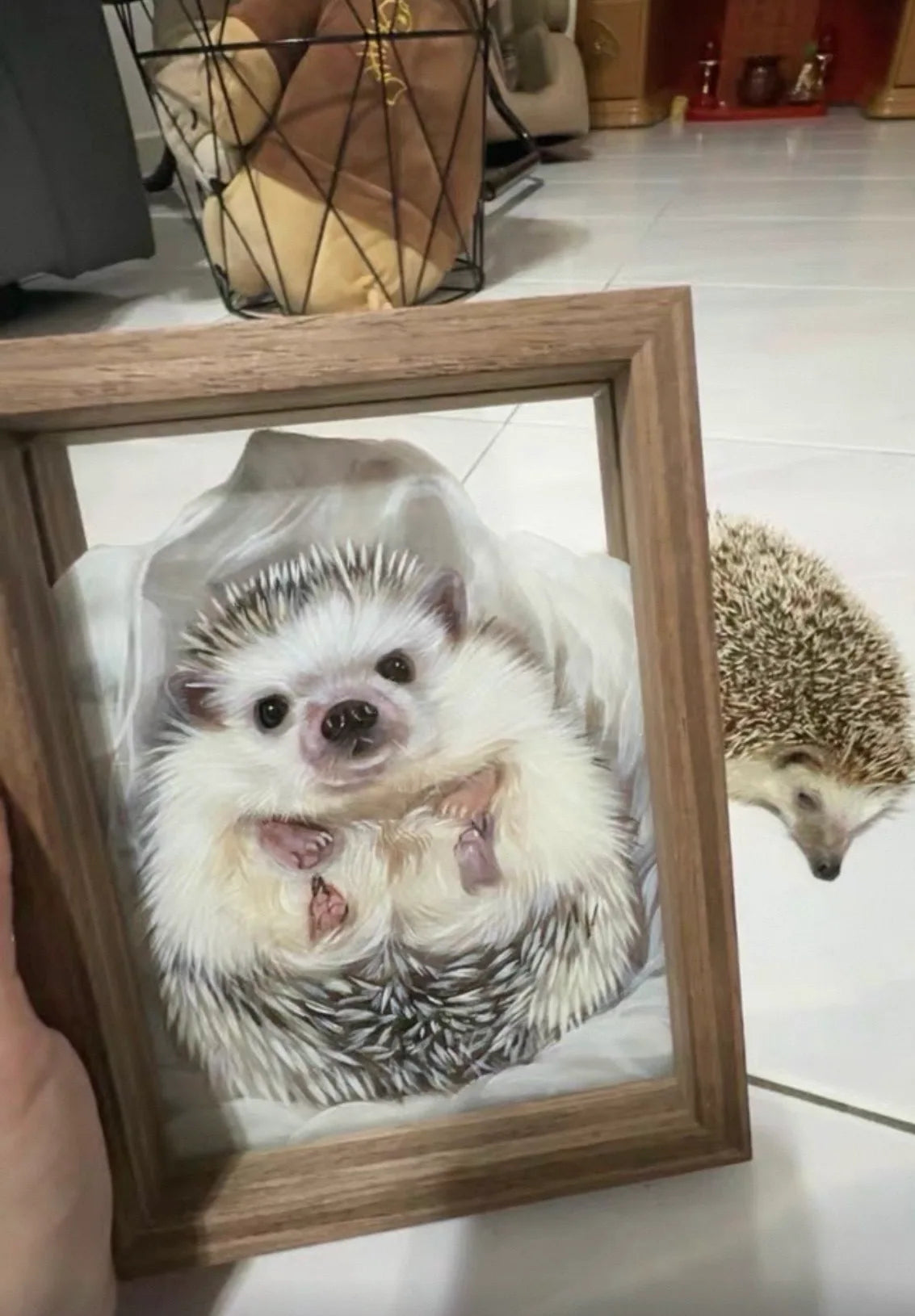 A framed hedgehog portrait photographed beside a hedgehog.