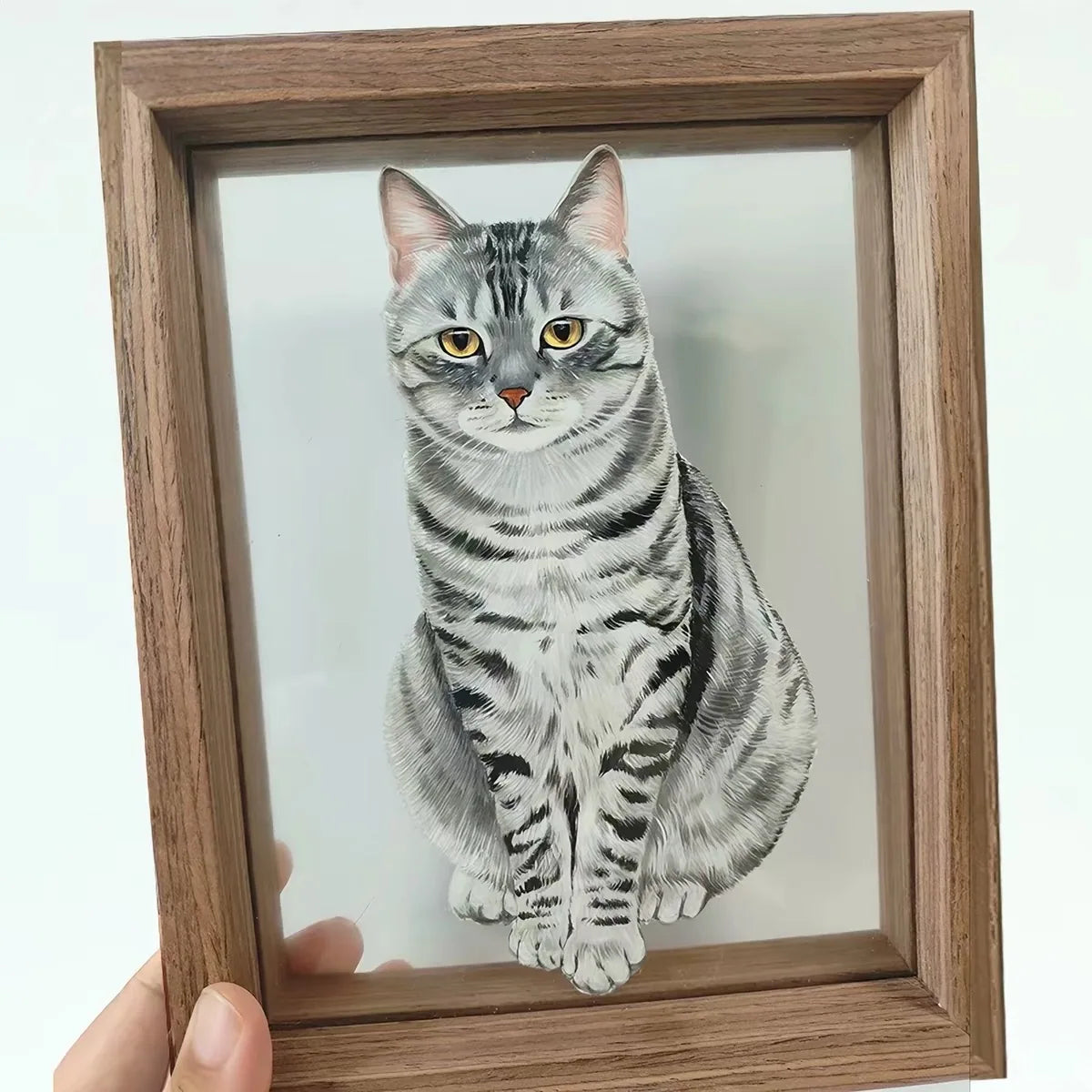 Handheld tall grey-tabby frame against plain background.