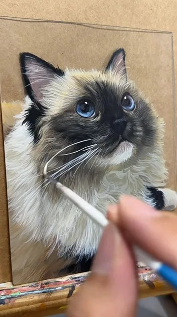 Real workshop footage: Long-haired cat: fur details