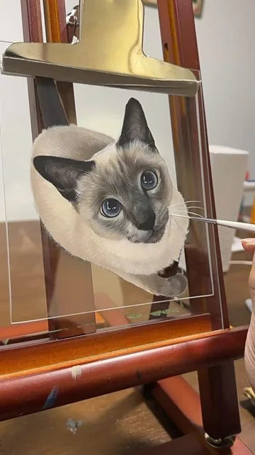 Real workshop footage: Blue-eyed cat: face details