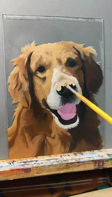 Real workshop footage: Golden-coated dog: outline to face details