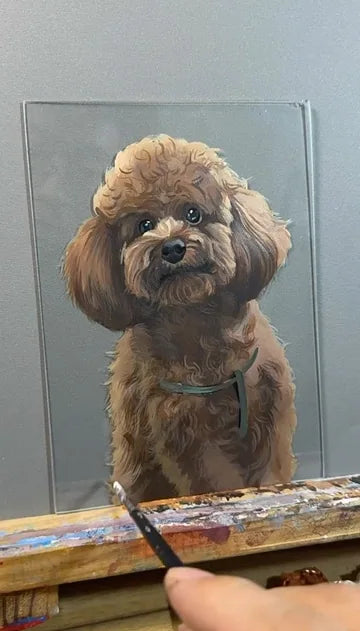 Real workshop footage: Curly brown dog: outline and coat