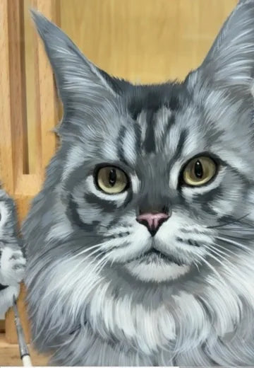 Real workshop footage: Two long-haired cats: colour and whiskers