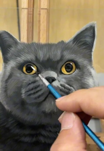 Real workshop footage: Grey cat: colour blocks to fine fur