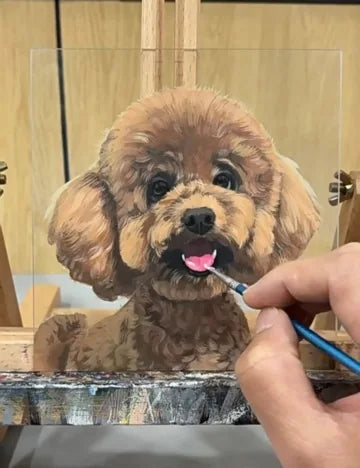 Real workshop footage: Curly brown dog: face and coat