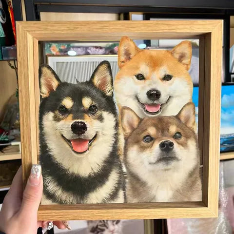 Three Shiba faces arranged together in a square wooden frame.