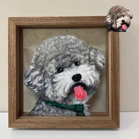 A curly grey companion