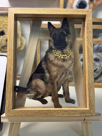 Shepherd portrait on studio easel with other frames behind.