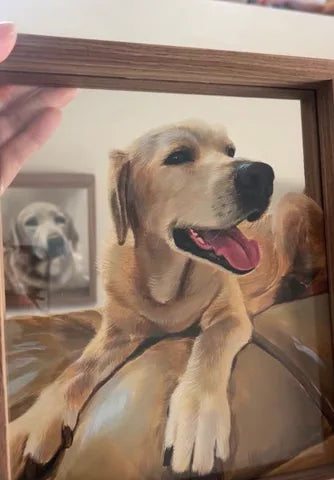 Golden retriever, held up to the light